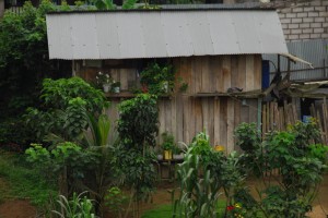 Ecuador (34)