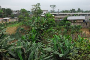Ecuador (38)