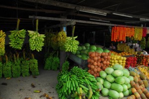 Ecuador (69)